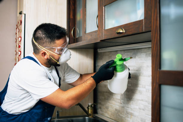 Professional Pest Control in Clinton, AR