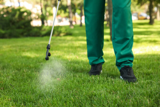 Best Cockroach Control Services  in Clinton, AR