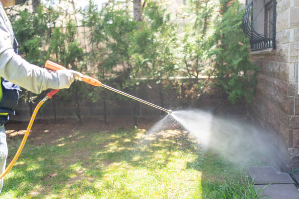 Best Pest Control for Homes  in Clinton, AR