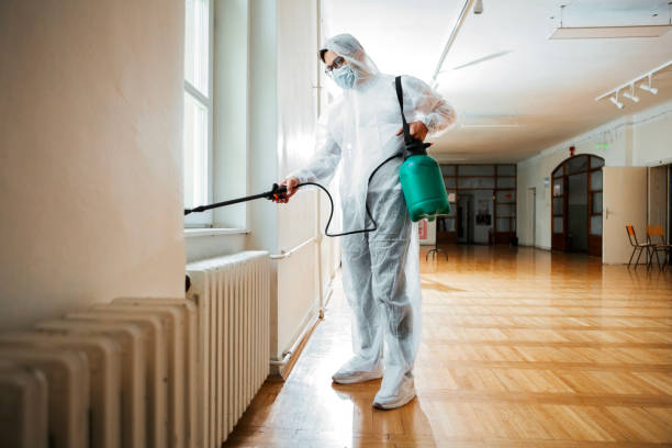 Best Local Pest Control Services  in Clinton, AR