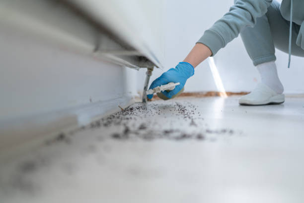 Best Pest Inspection Near Me  in Clinton, AR